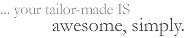 ARFNLabs, your tailor-made IS: awesome, simply.