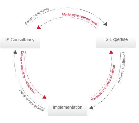 ARFNLabs, IS senior consulting and +